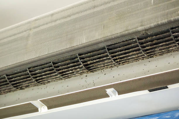 Best Dryer Vent Cleaning Services  in Schaumburg, IL